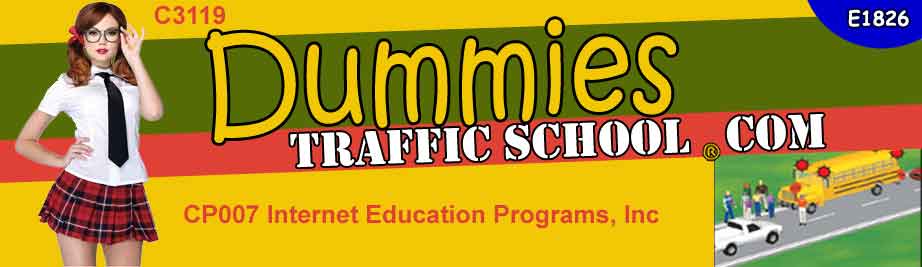 Dummies online traffic school